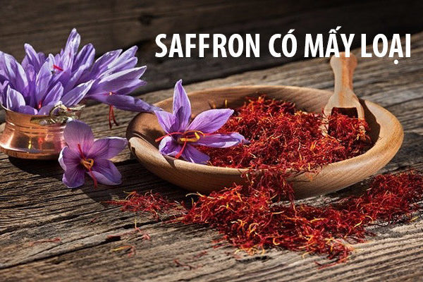 Phân biệt 5 loại Saffron đơn giản bằng mắt